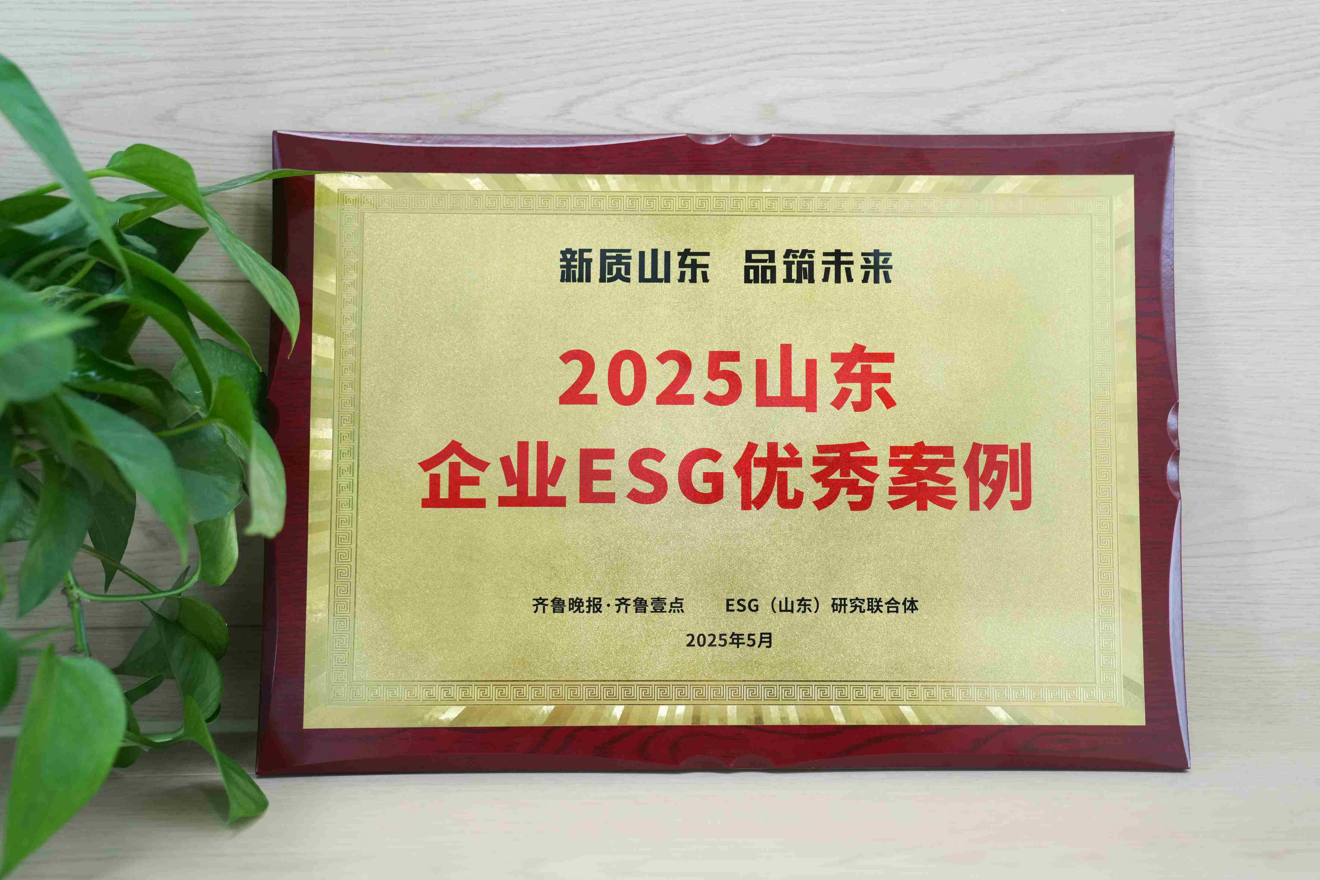 英科醫(yī)療入選2025山東企業(yè)ESG優(yōu)秀案例
